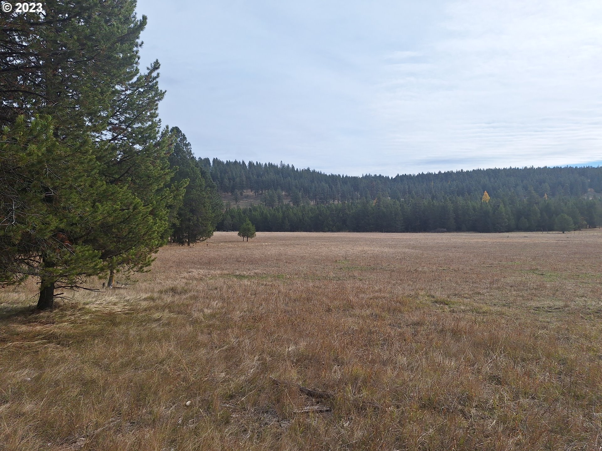Davis Creek Road Enterprise, OR 97828 - Photo 8 of 11 Gallery Image 8
