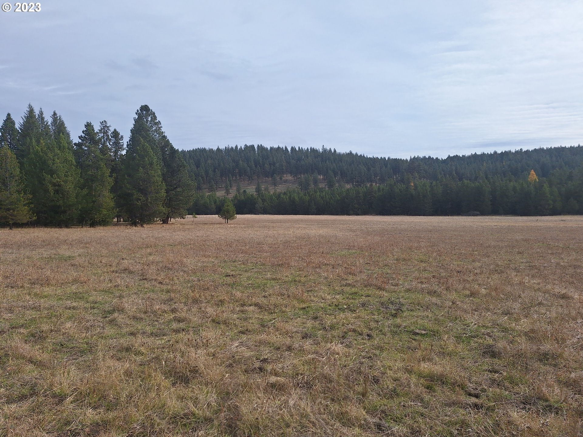 Davis Creek Road Enterprise, OR 97828 - Photo 9 of 11 Gallery Image 9