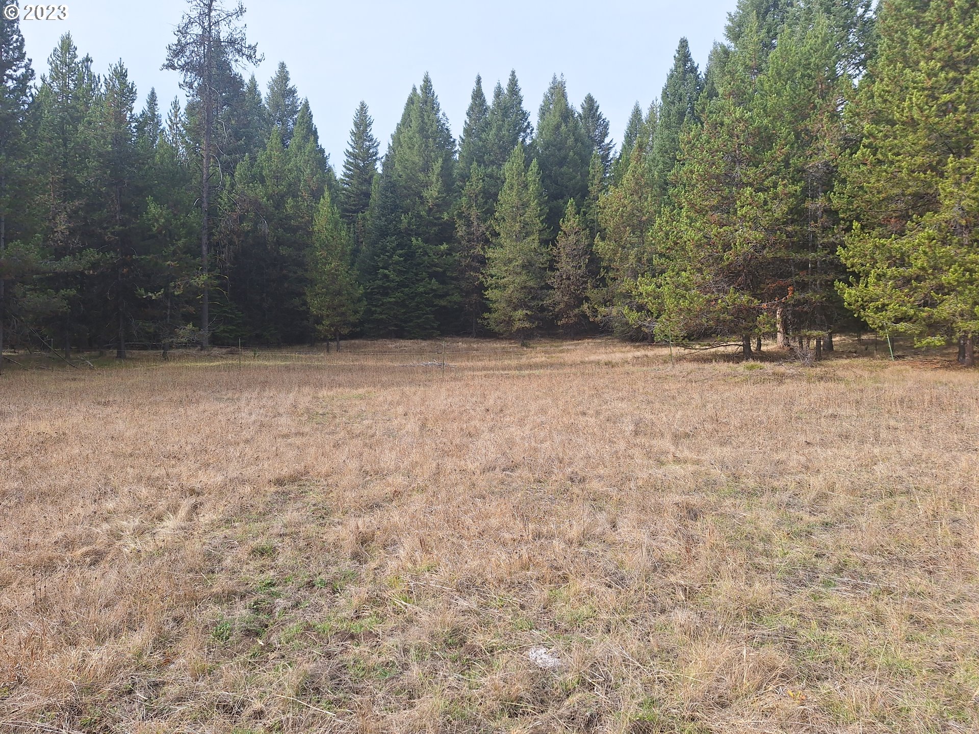 Davis Creek Road Enterprise, OR 97828 - Photo 10 of 11 Gallery Image 10