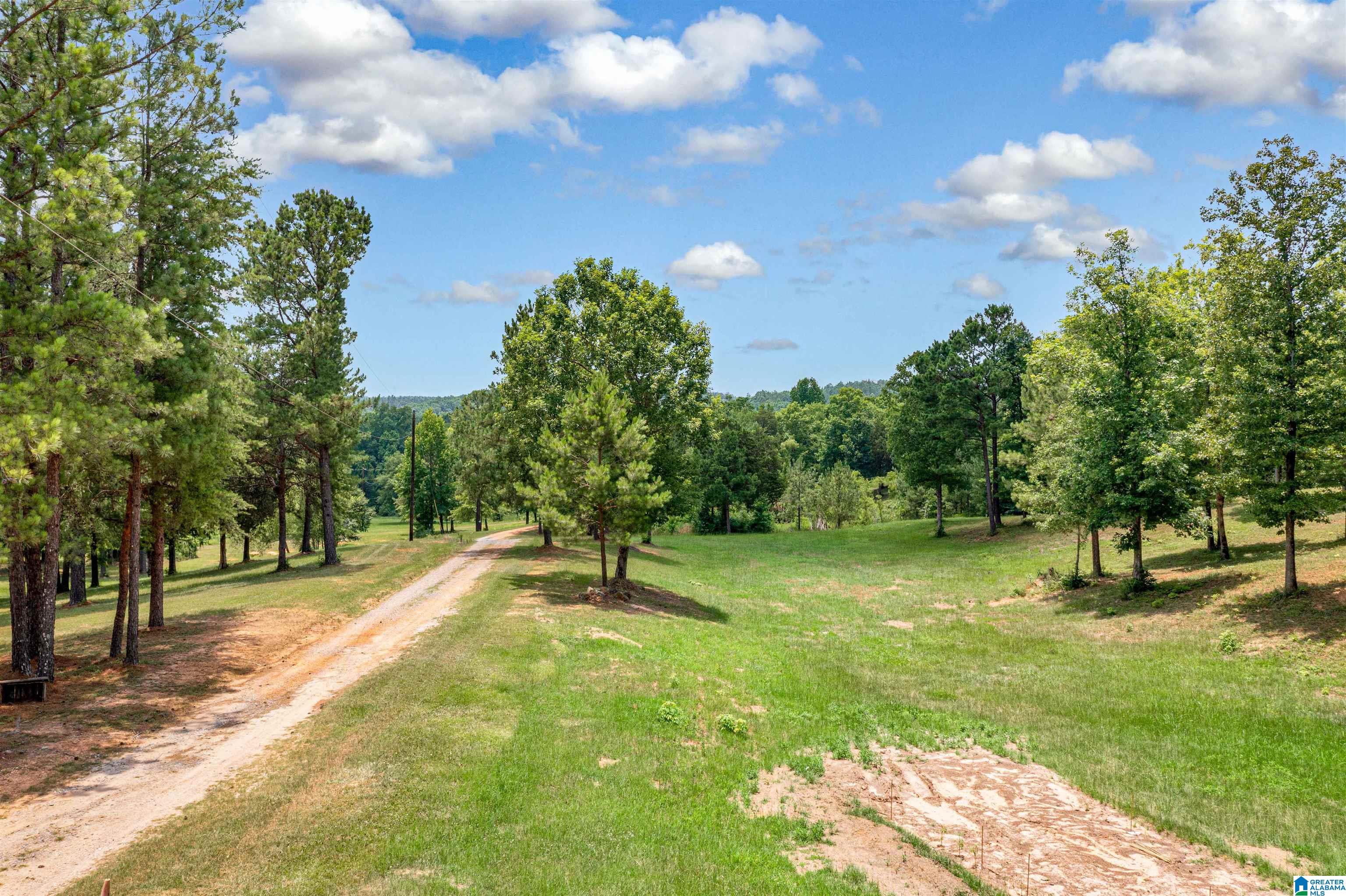 0 Hurricane Valley Road, Unit 1 Brookwood, AL 35444 - Photo 16 of 24