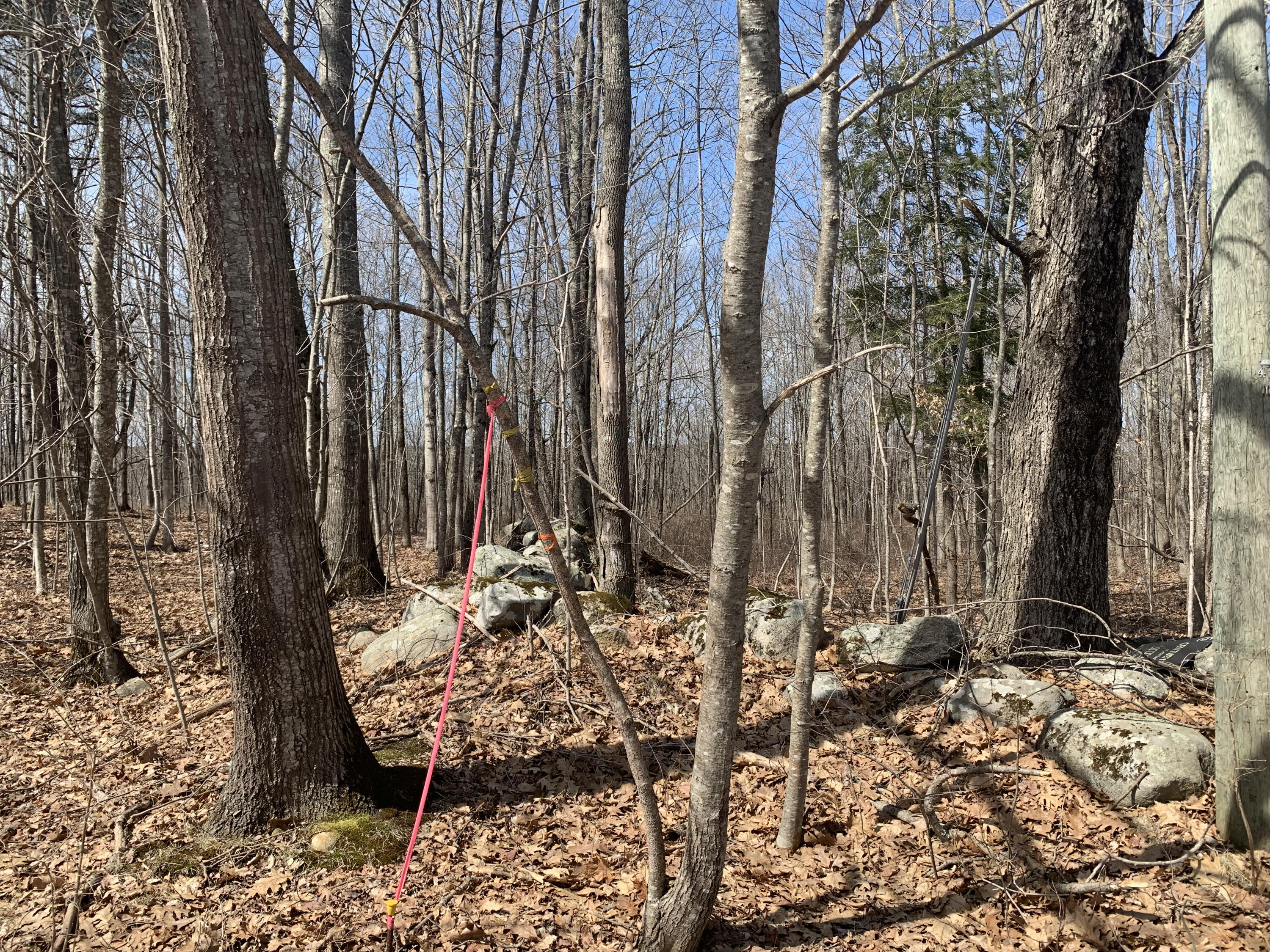 8 Ridge Road Bowdoinham, ME 04008 - Photo 6 of 9 Rock Wall