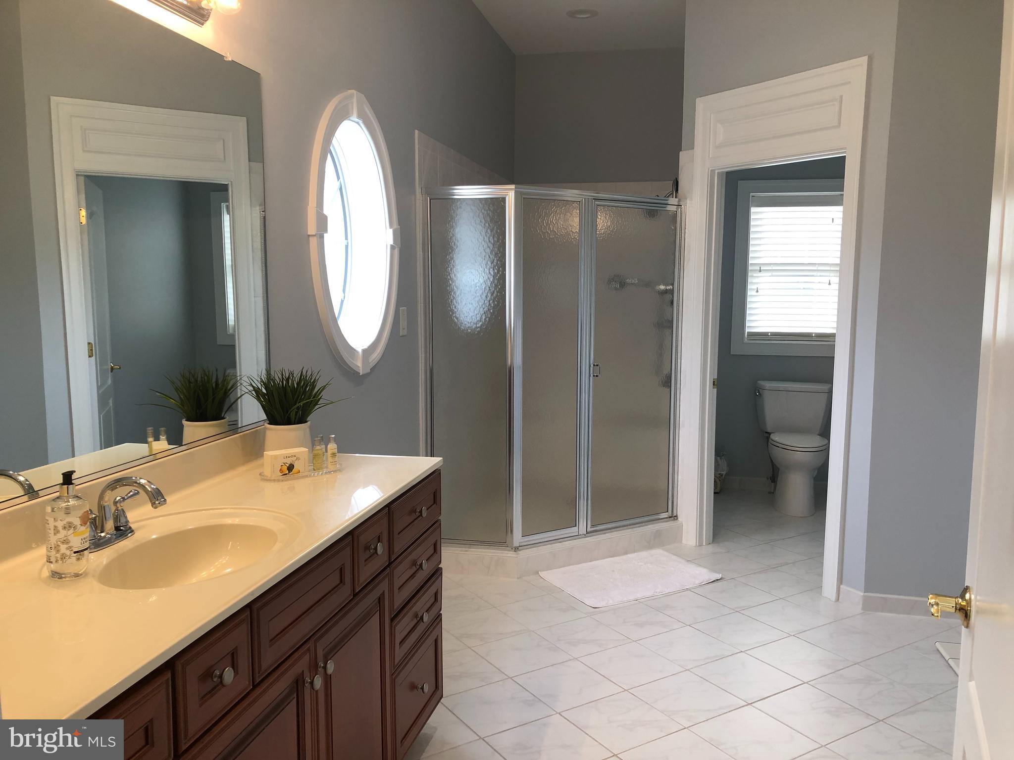 2613 Commander Davis Drive Edgewater, MD 21037 - Photo 17 of 24 a spacious bathroom with a granite countertop sink a mirror and a shower