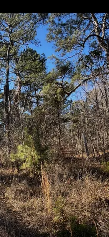 $45,500 | 0 Pates Mill Road, Warrenton, GA 30828