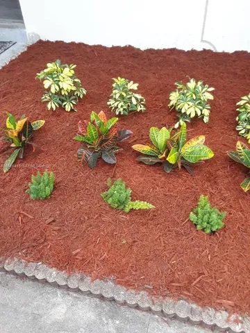 a view of a flower in a garden