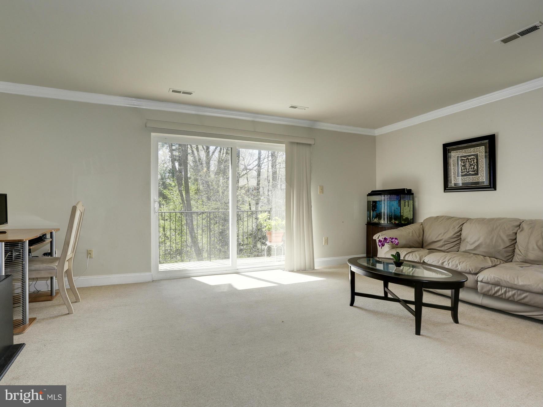 3734 Ferrara Drive, Unit 12 Silver Spring, MD 20906 - Photo 8 of 19 Living Room
