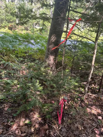 $149,900 | 0 Route 1- 0 Gouldsboro Point Road, Gouldsboro, ME 04607