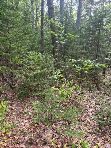 $149,900 | 0 Route 1- 0 Gouldsboro Point Road, Gouldsboro, ME 04607