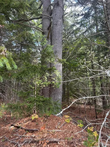 $149,900 | 0 Route 1- 0 Gouldsboro Point Road, Gouldsboro, ME 04607