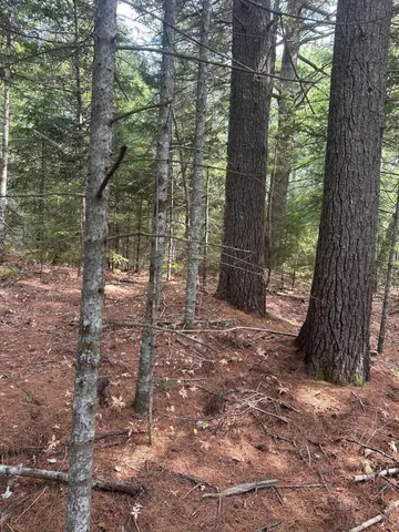 $149,900 | 0 Route 1- 0 Gouldsboro Point Road, Gouldsboro, ME 04607