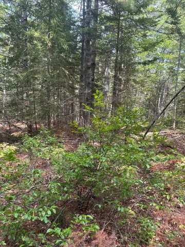 $149,900 | 0 Route 1- 0 Gouldsboro Point Road, Gouldsboro, ME 04607