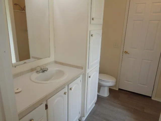 a bathroom with a sink and a toilet