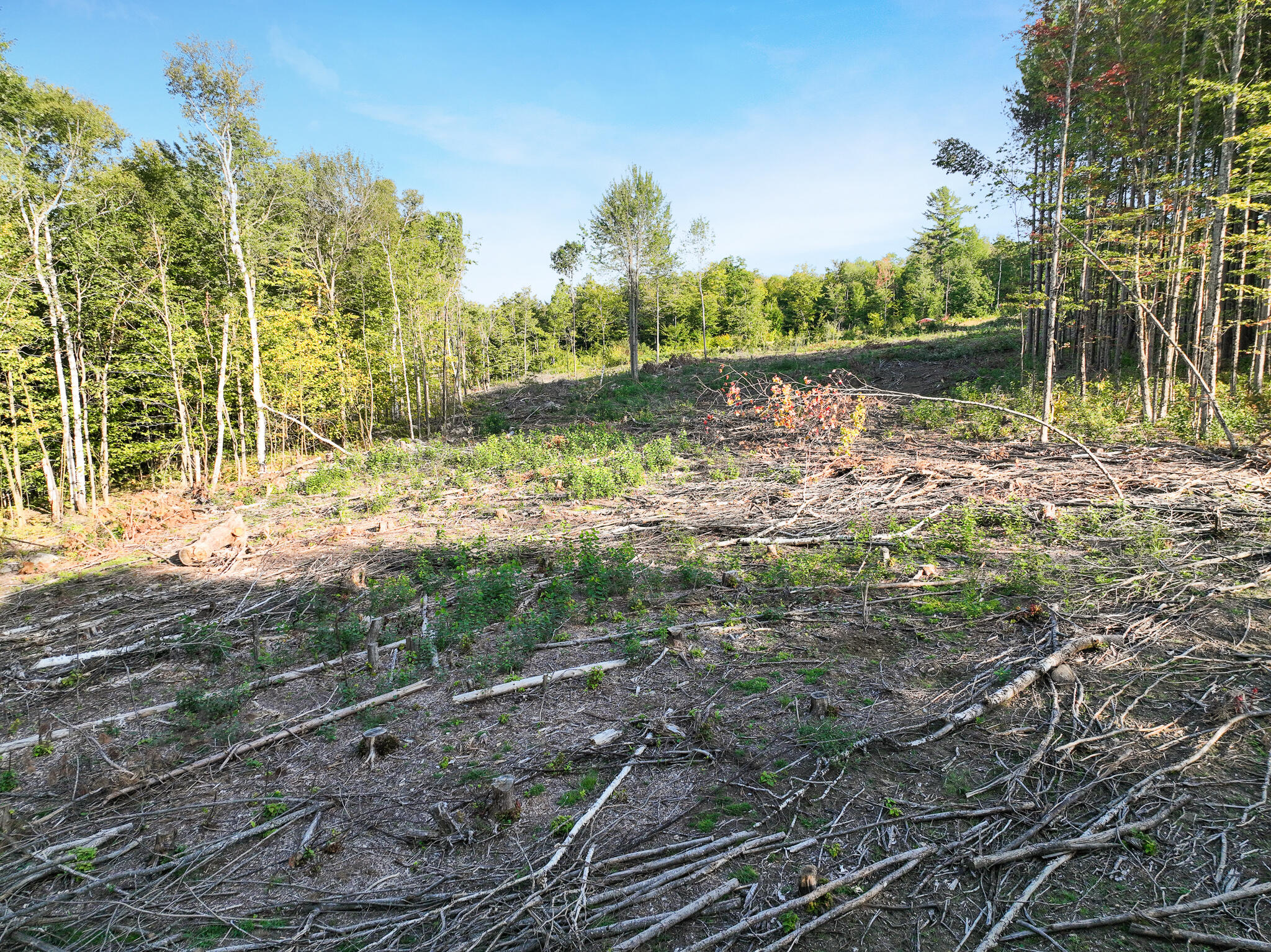 Lot # Eaton Hill Road Rumford, ME 04276 - Photo 10 of 17 5