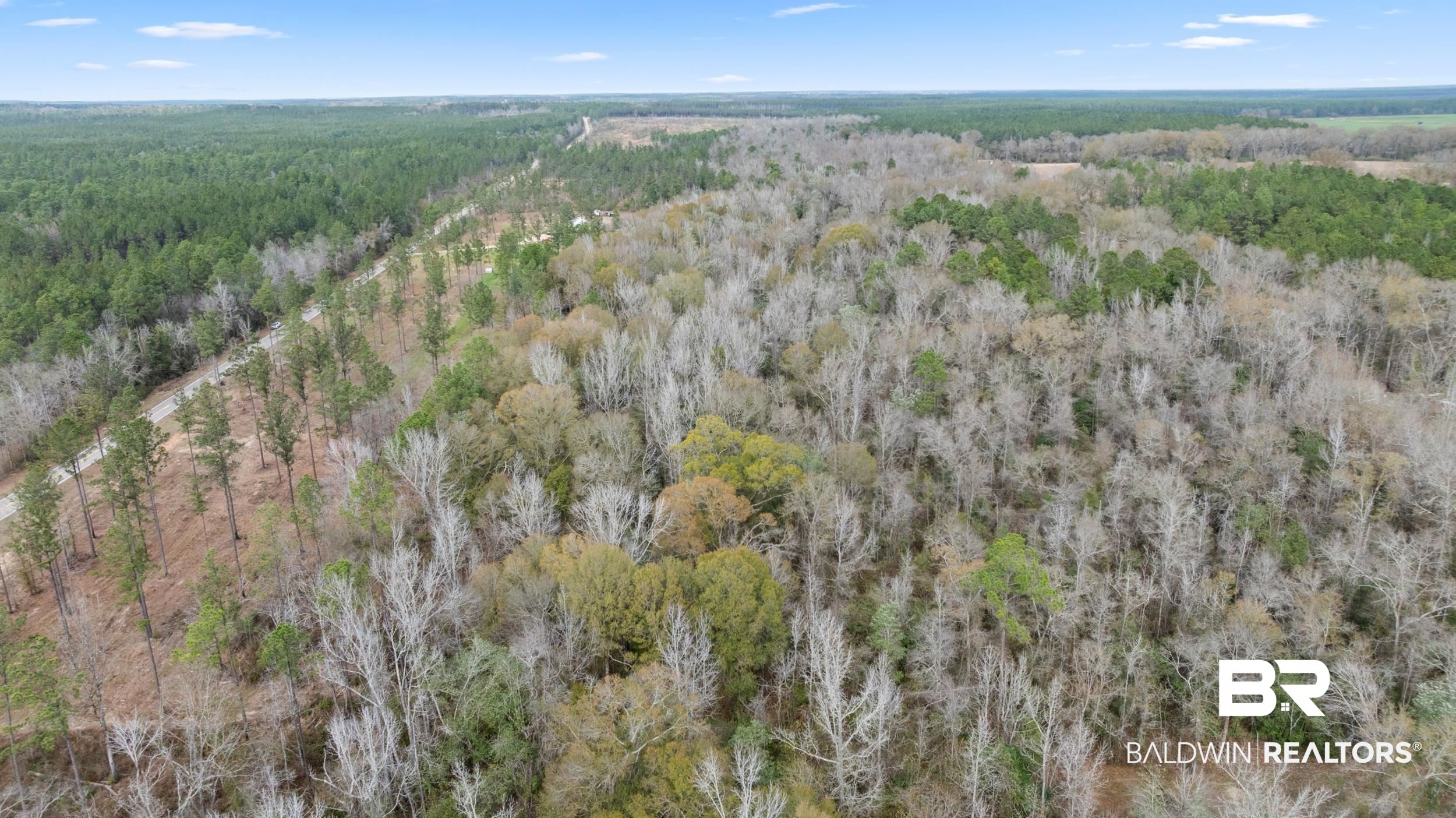 0 Lottie Road Atmore, AL 36502 - Photo 15 of 17 View of property location featuring a heavily wooded area