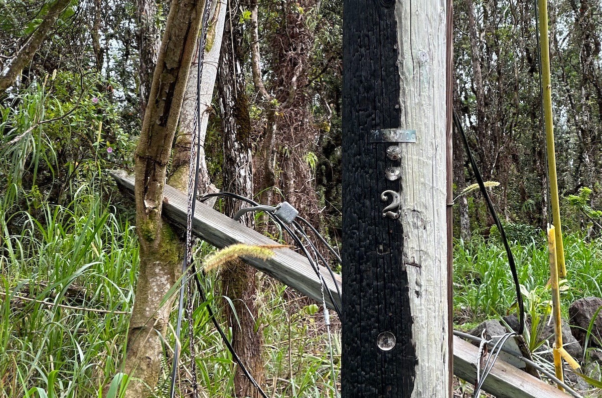 490 Colby Circle Pahoa, HI 96778 - Photo 5 of 5 an aerial view of a residential houses with yard