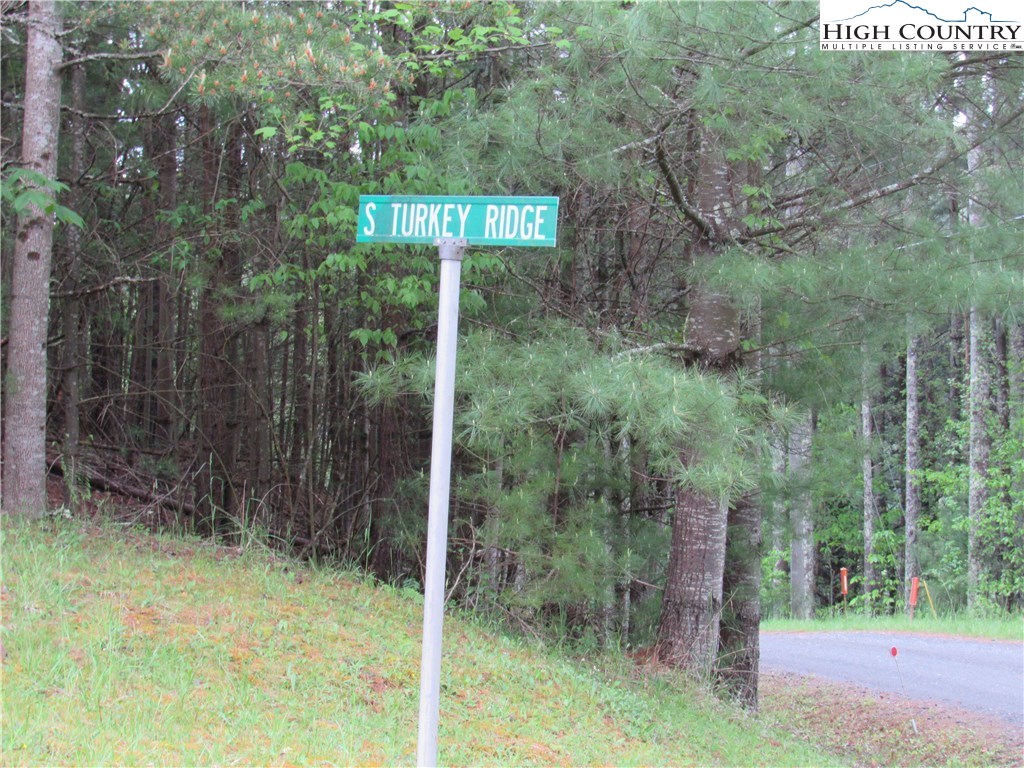 Lot 47 Turkey Ridge Crumpler, NC 28617 - Photo 12 of 13