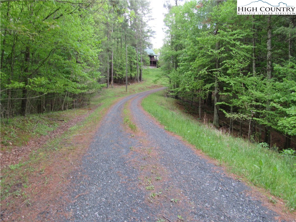 Lot 47 Turkey Ridge Crumpler, NC 28617 - Photo 2 of 13