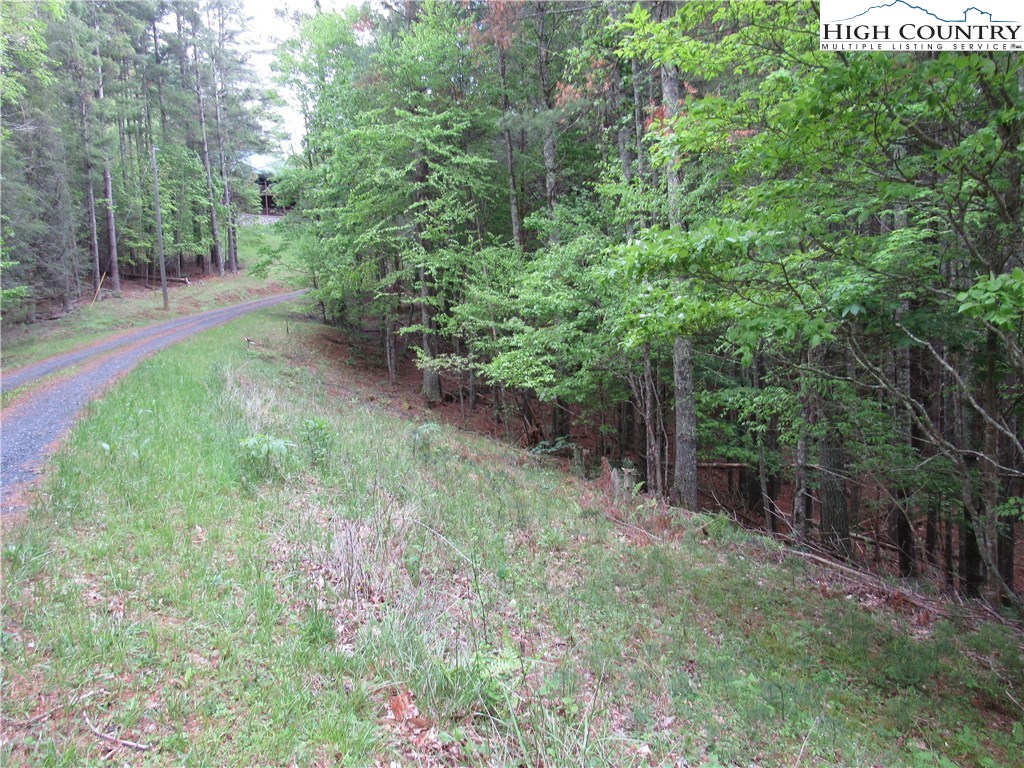 Lot 47 Turkey Ridge Crumpler, NC 28617 - Photo 3 of 13