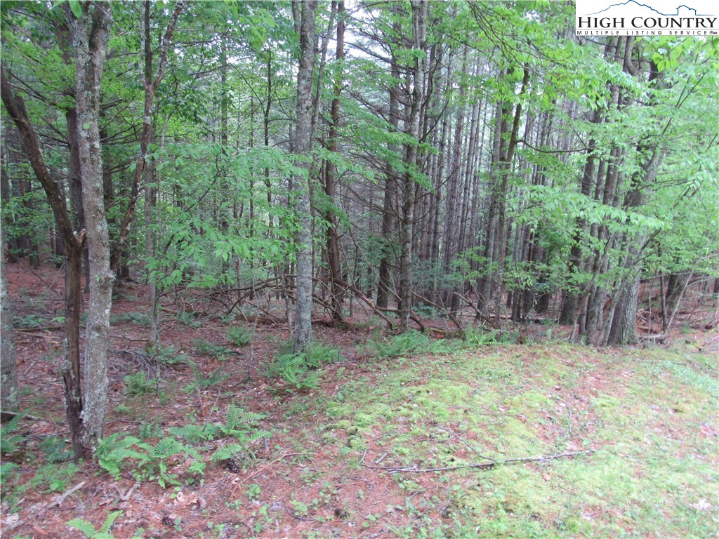 Lot 47 Turkey Ridge Crumpler, NC 28617 - Photo 4 of 13