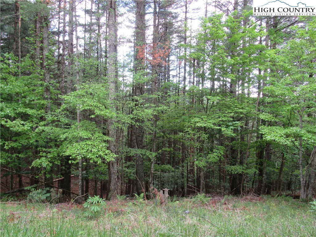 Lot 47 Turkey Ridge Crumpler, NC 28617 - Photo 5 of 13