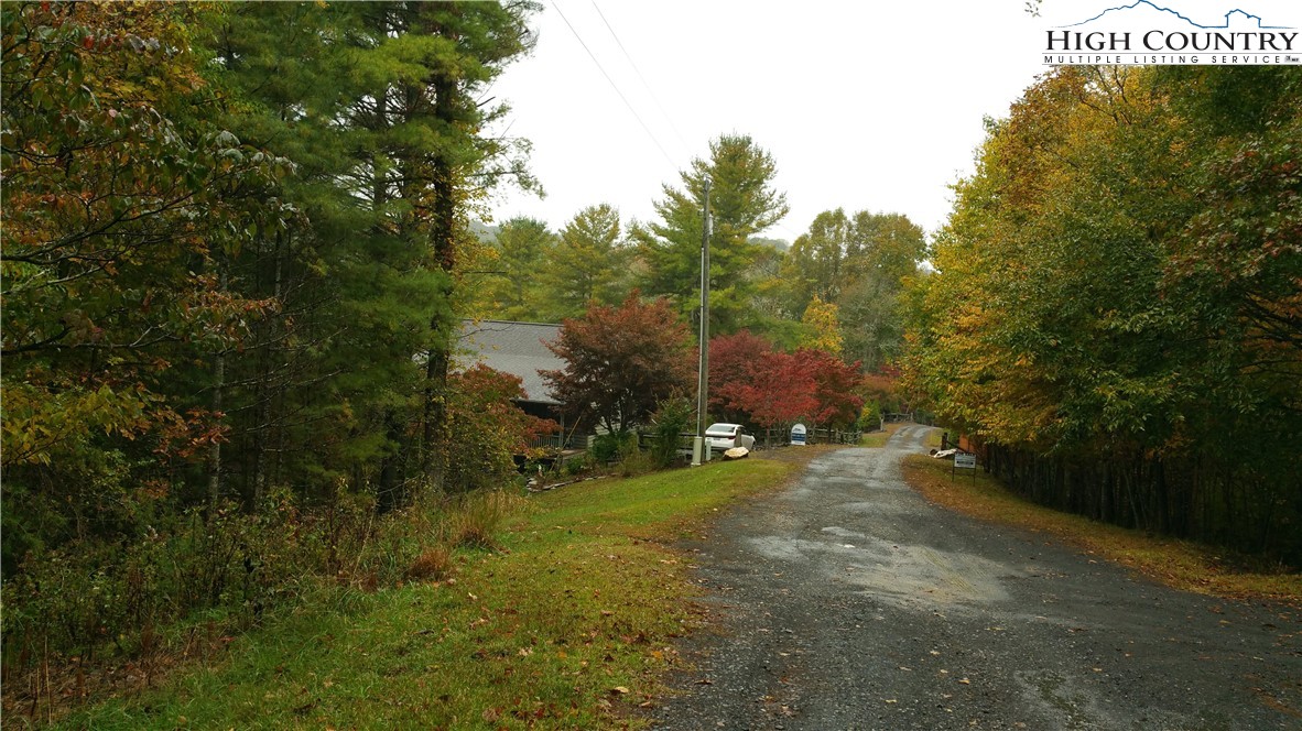 Lot 47 Turkey Ridge Crumpler, NC 28617 - Photo 6 of 13