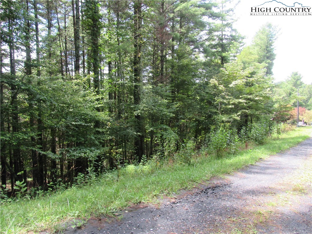 Lot 47 Turkey Ridge Crumpler, NC 28617 - Photo 7 of 13
