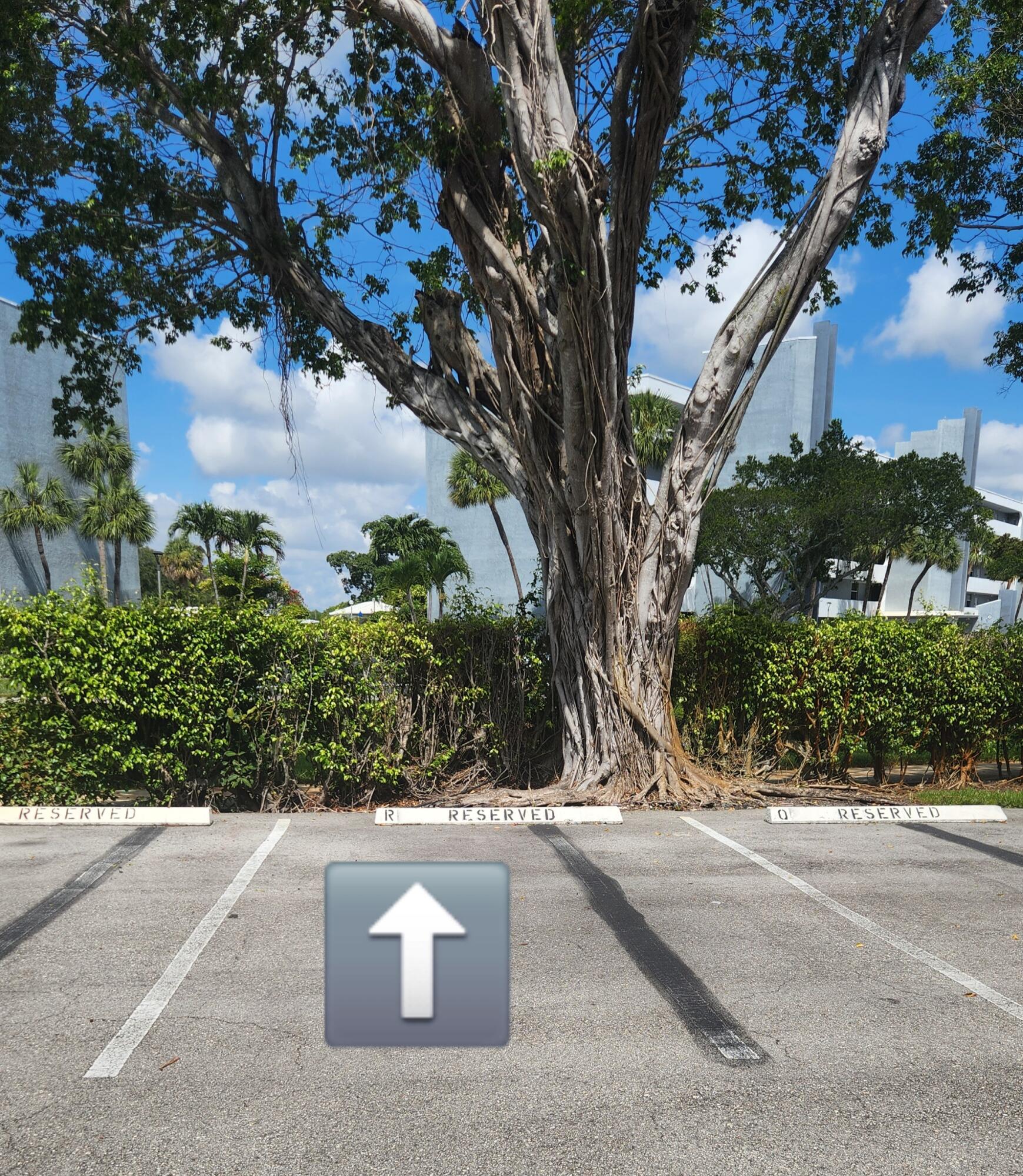 6500 Northwest 2nd Avenue, Unit 311 Boca Raton, FL 33487 - Photo 3 of 43 Park in space R