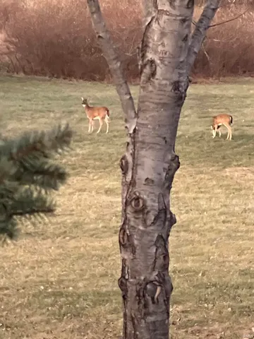 $399,900 | 4462 West 3rd Street, West Lebanon, IN 47991