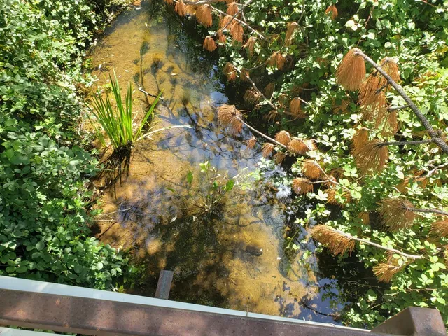 $139,900 | 0 Greenwood Road, Greenwood, CA 95635