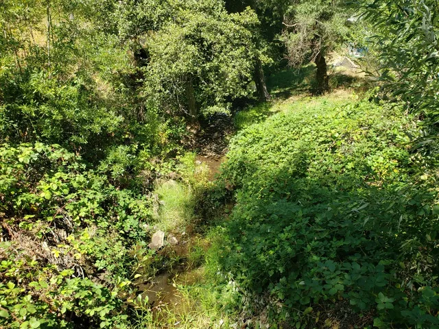 $139,900 | 0 Greenwood Road, Greenwood, CA 95635