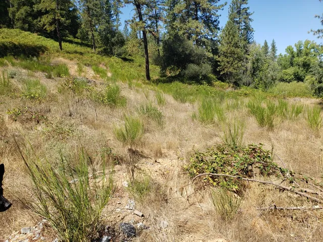 $139,900 | 0 Greenwood Road, Greenwood, CA 95635