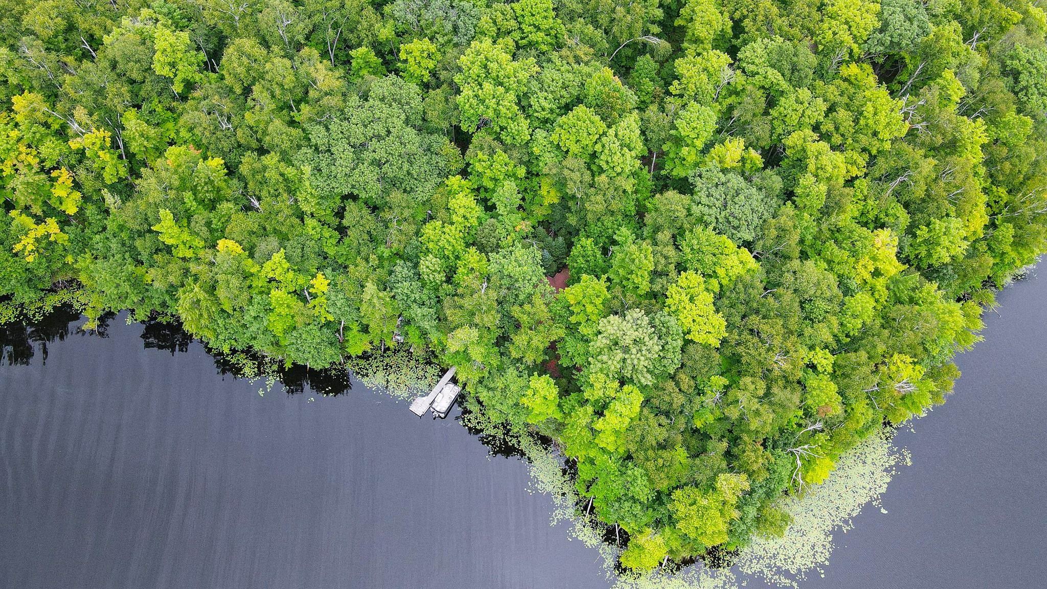 N7530 Black Oak Road Deerbrook, WI 54424 - Photo 27 of 30