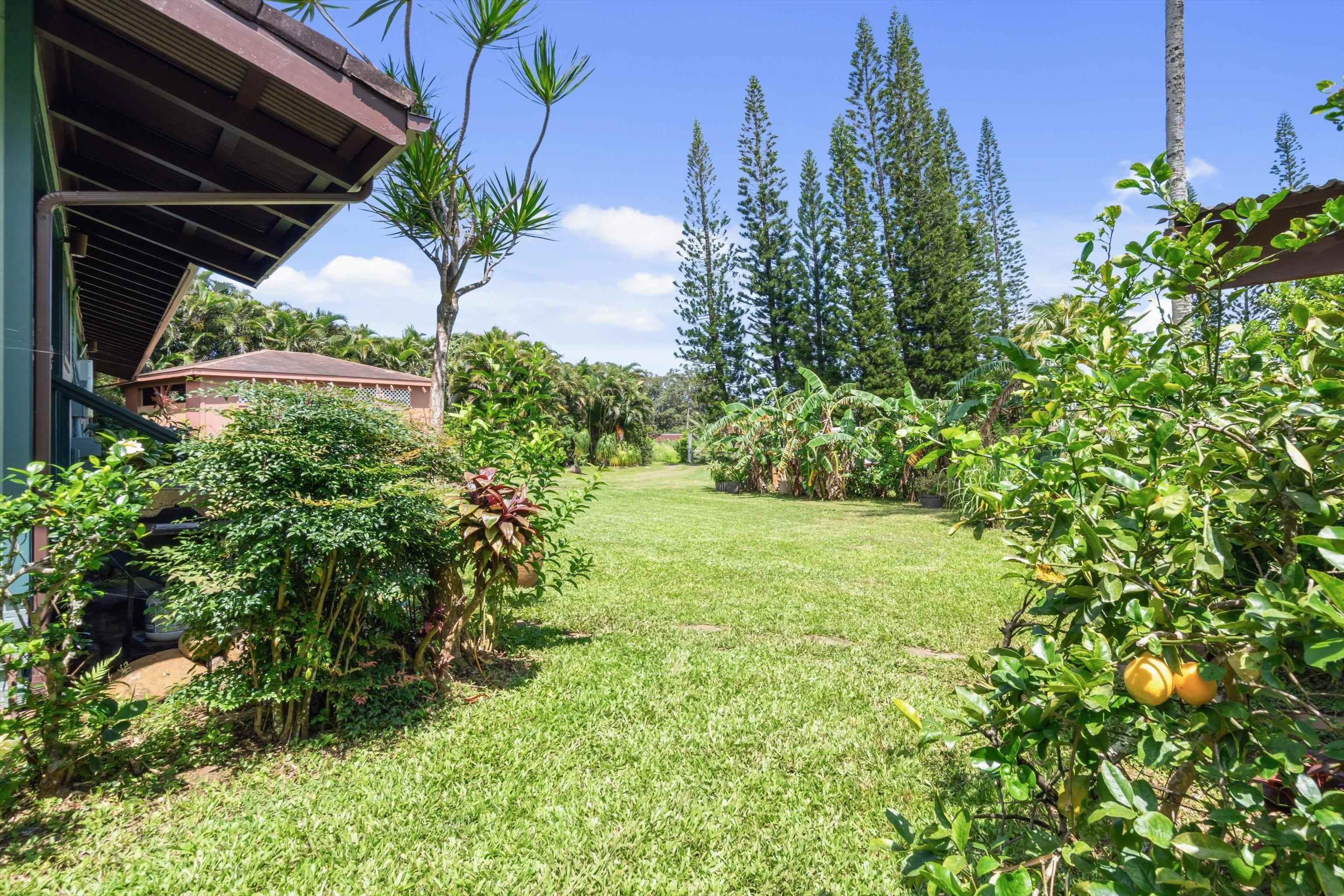 145 South Holokai Road Haiku, HI 96708 - Photo 43 of 50 a view of outdoor space and yard