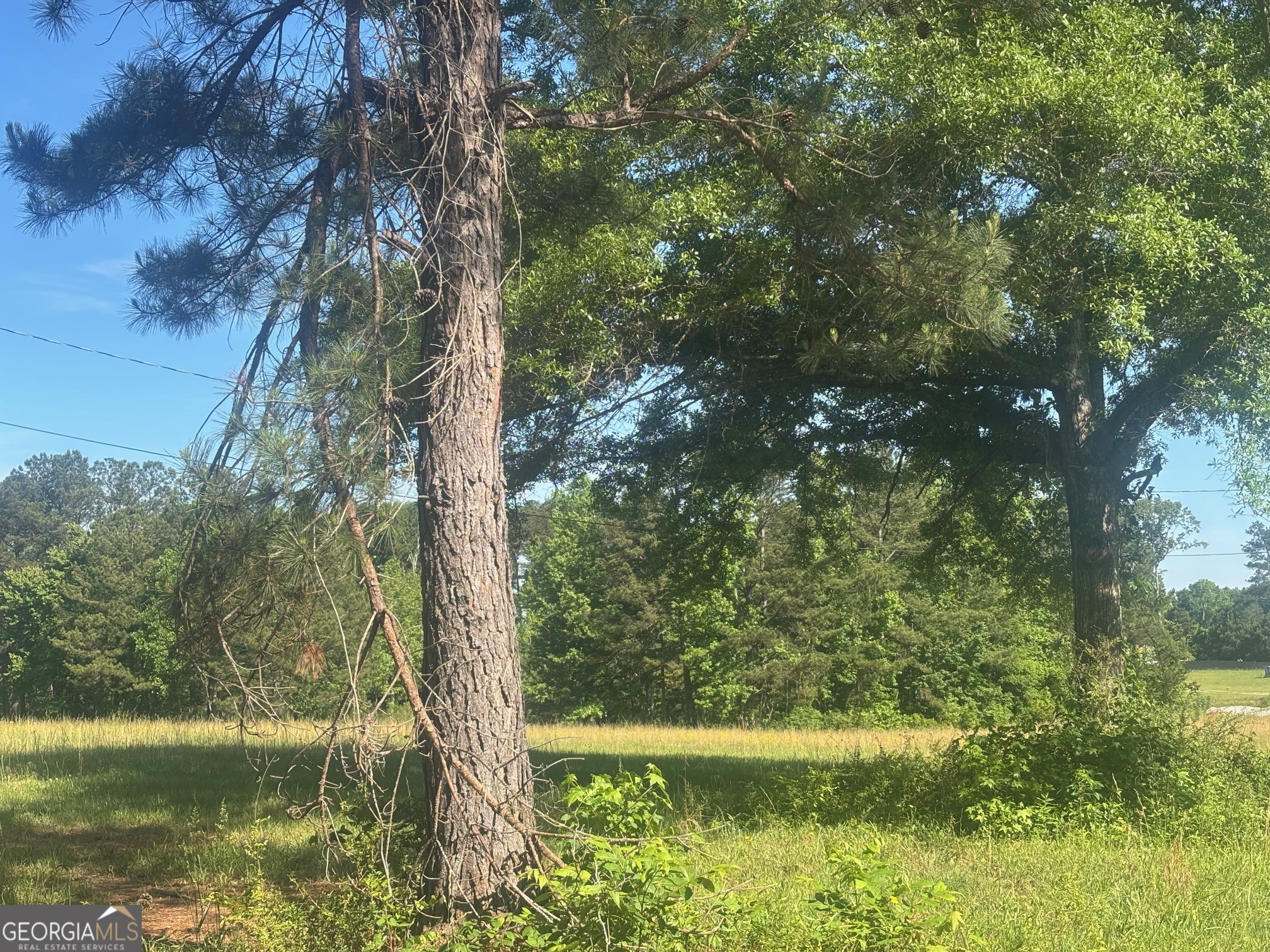 89 Davidson Road Molena, GA 30258 - Photo 6 of 9