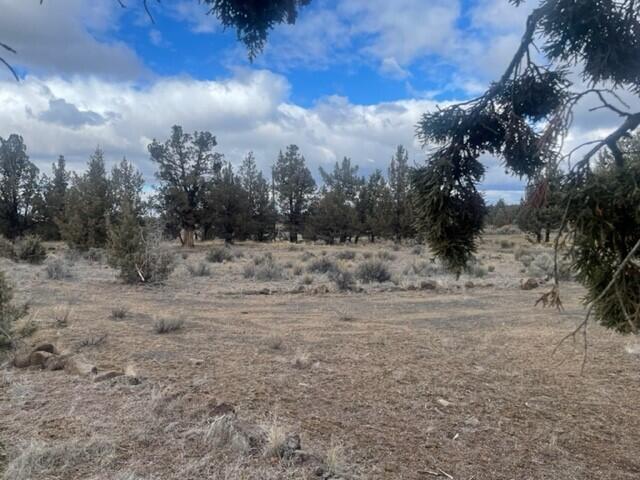 3496 Southeast Yuma Road Prineville, OR 97754 - Photo 15 of 15 Photo - Branches on RT - RT
