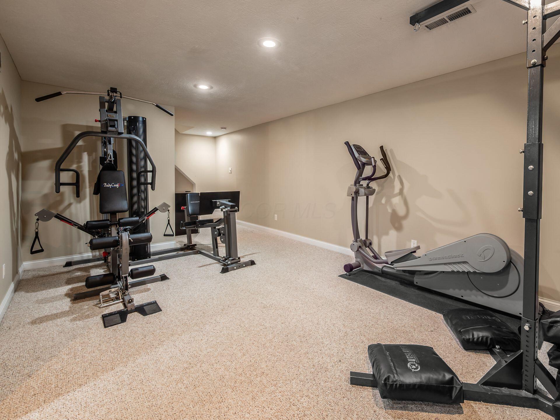 7373 Frasier Road Westerville, OH 43082 - Photo 42 of 63 Lower Level