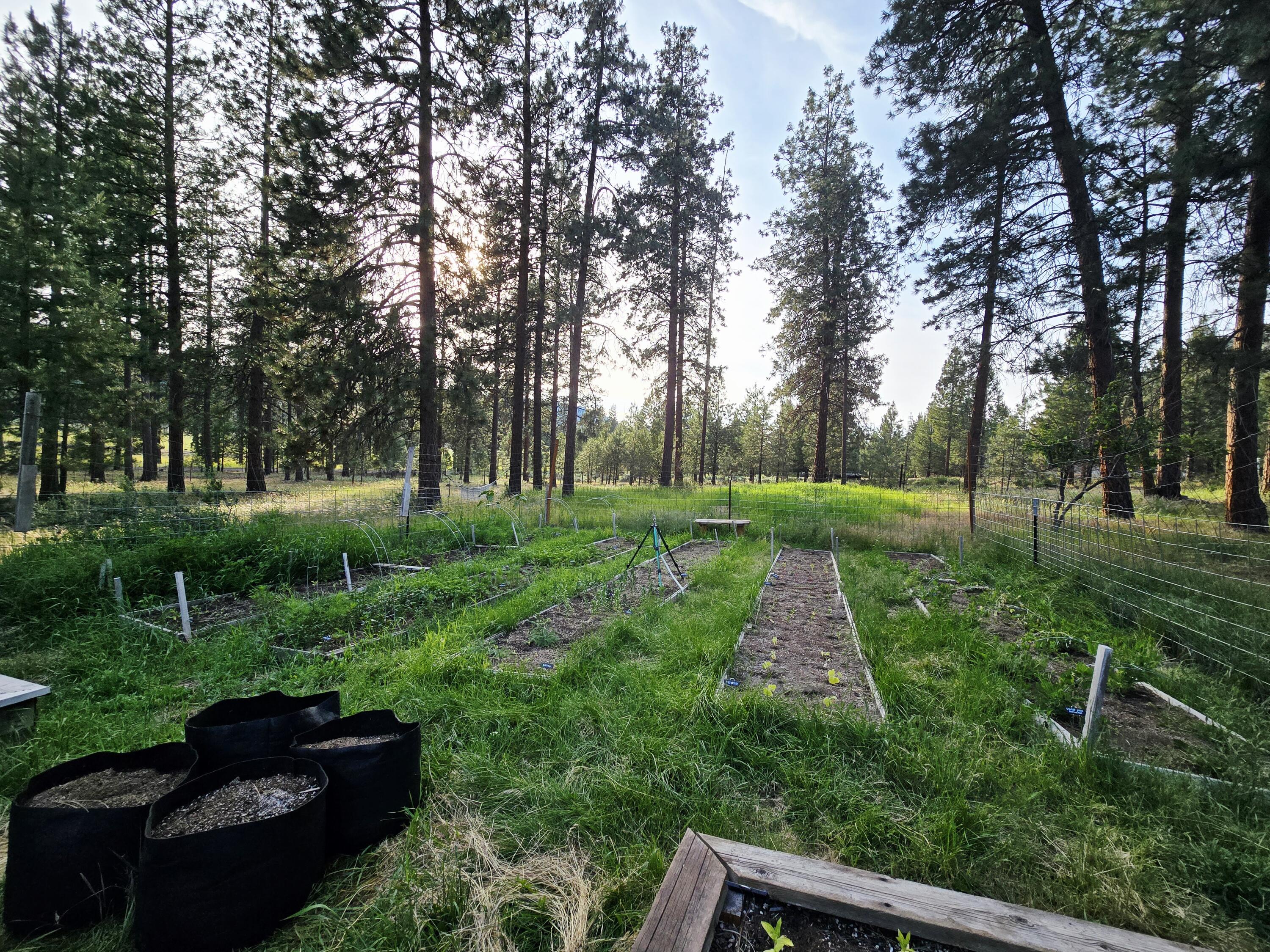 10211 Old Fort Road Klamath Falls, OR 97601 - Photo 70 of 79 Garden