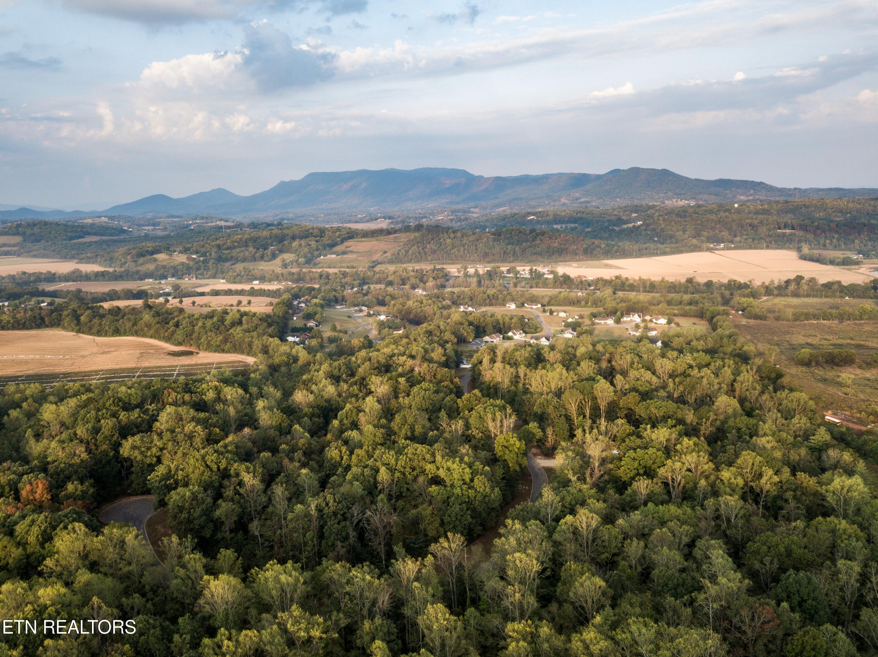 Lot 14 Meadowood Road Newport, TN 37821 - Photo 11 of 24 lot 14 meadowood - moore (4)