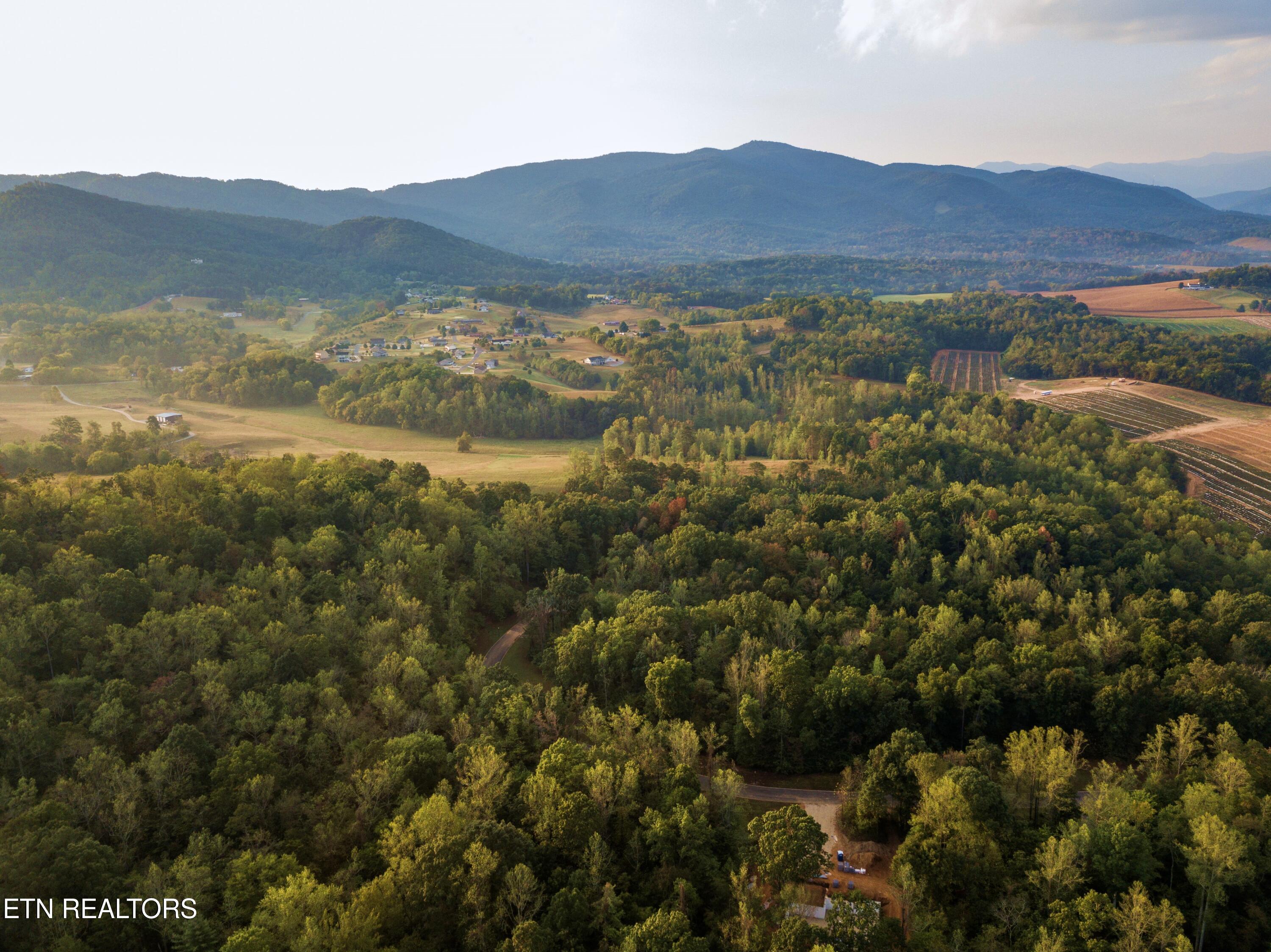 Lot 14 Meadowood Road Newport, TN 37821 - Photo 13 of 24 lot 14 meadowood - moore (6)