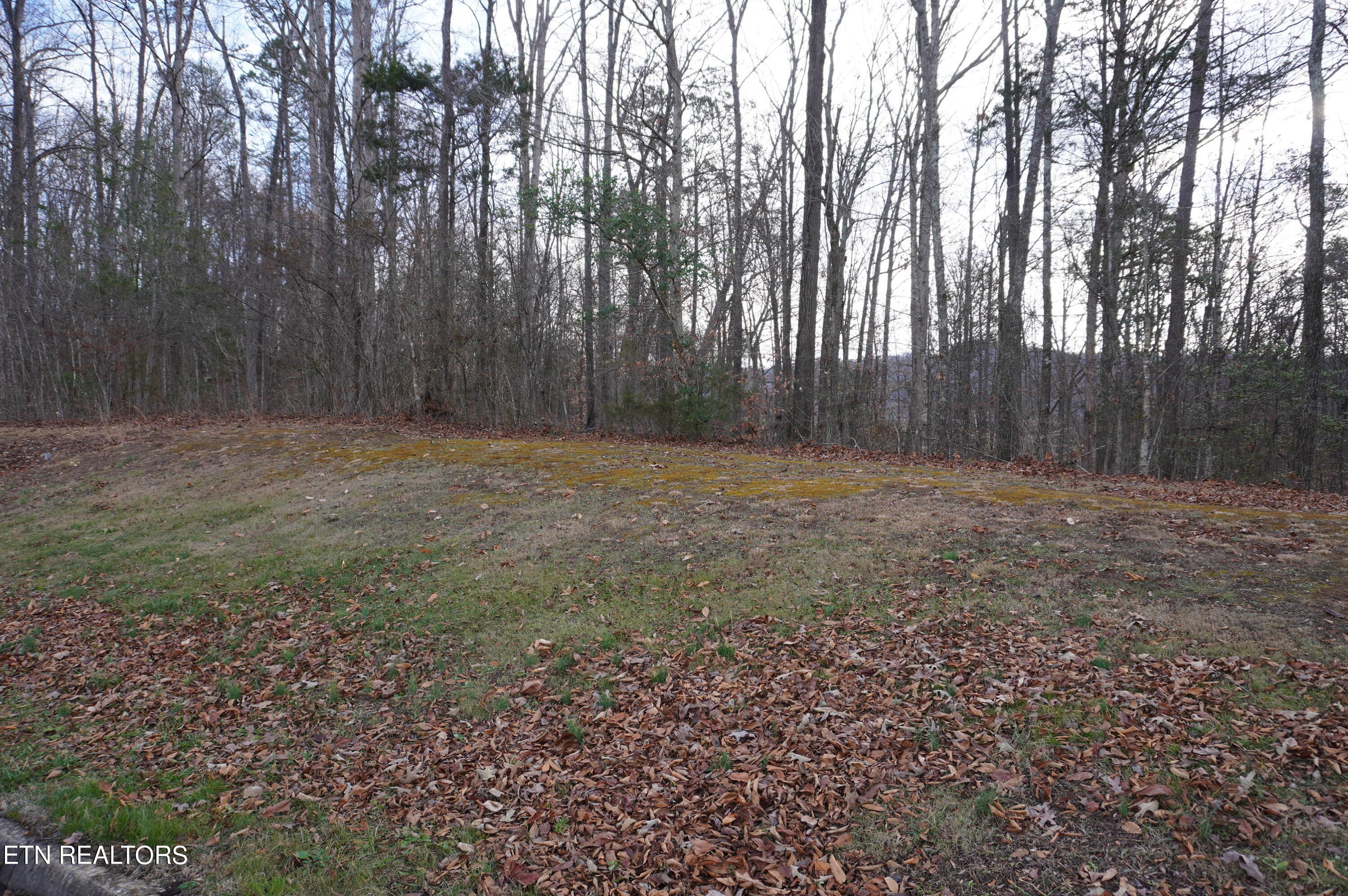 Lot 14 Meadowood Road Newport, TN 37821 - Photo 18 of 24 lot 14 meadowood - moore - 1-12-24 (23)
