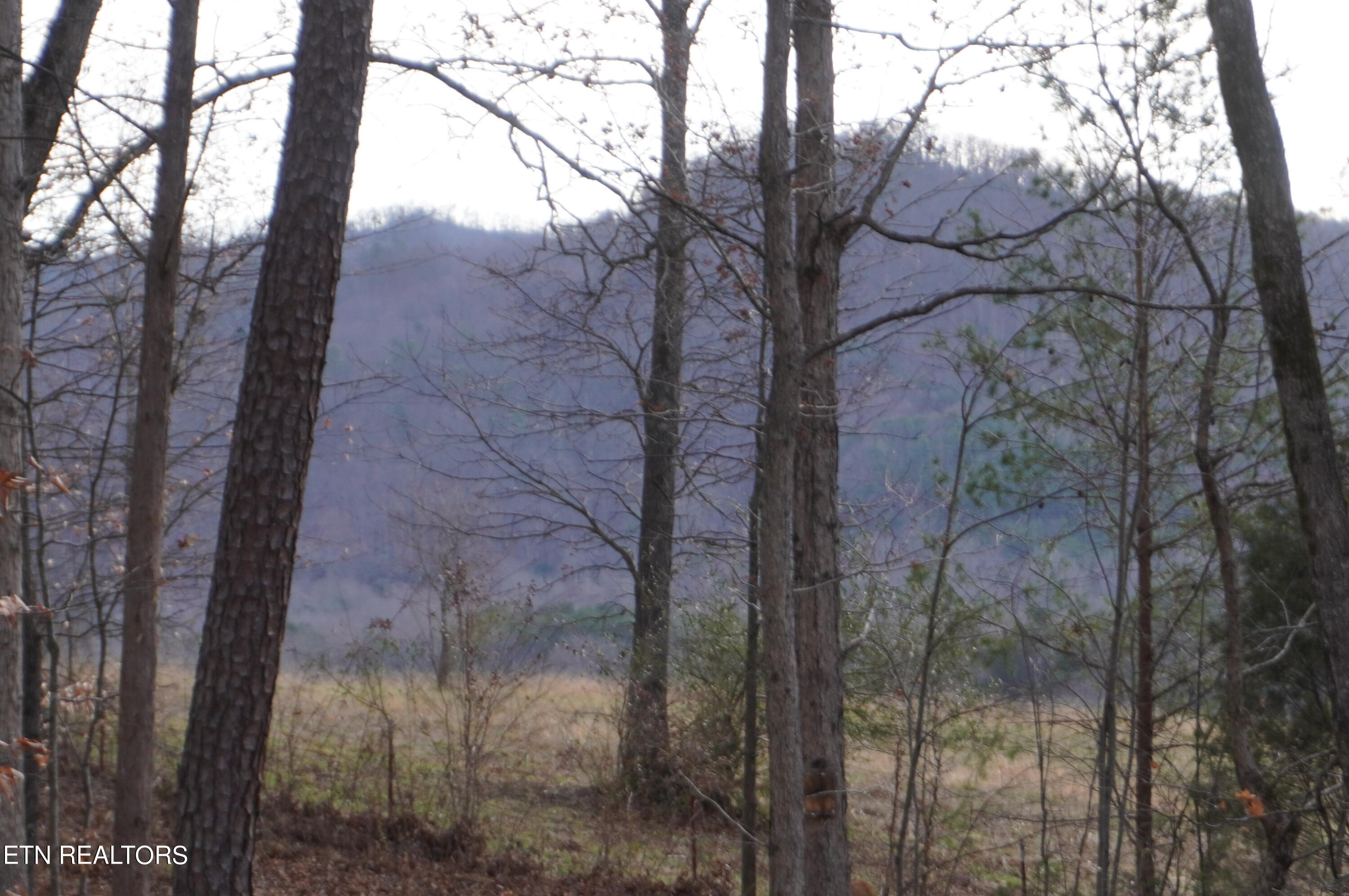 Lot 14 Meadowood Road Newport, TN 37821 - Photo 21 of 24 lot 14 meadowood - moore - 1-12-24 (26)
