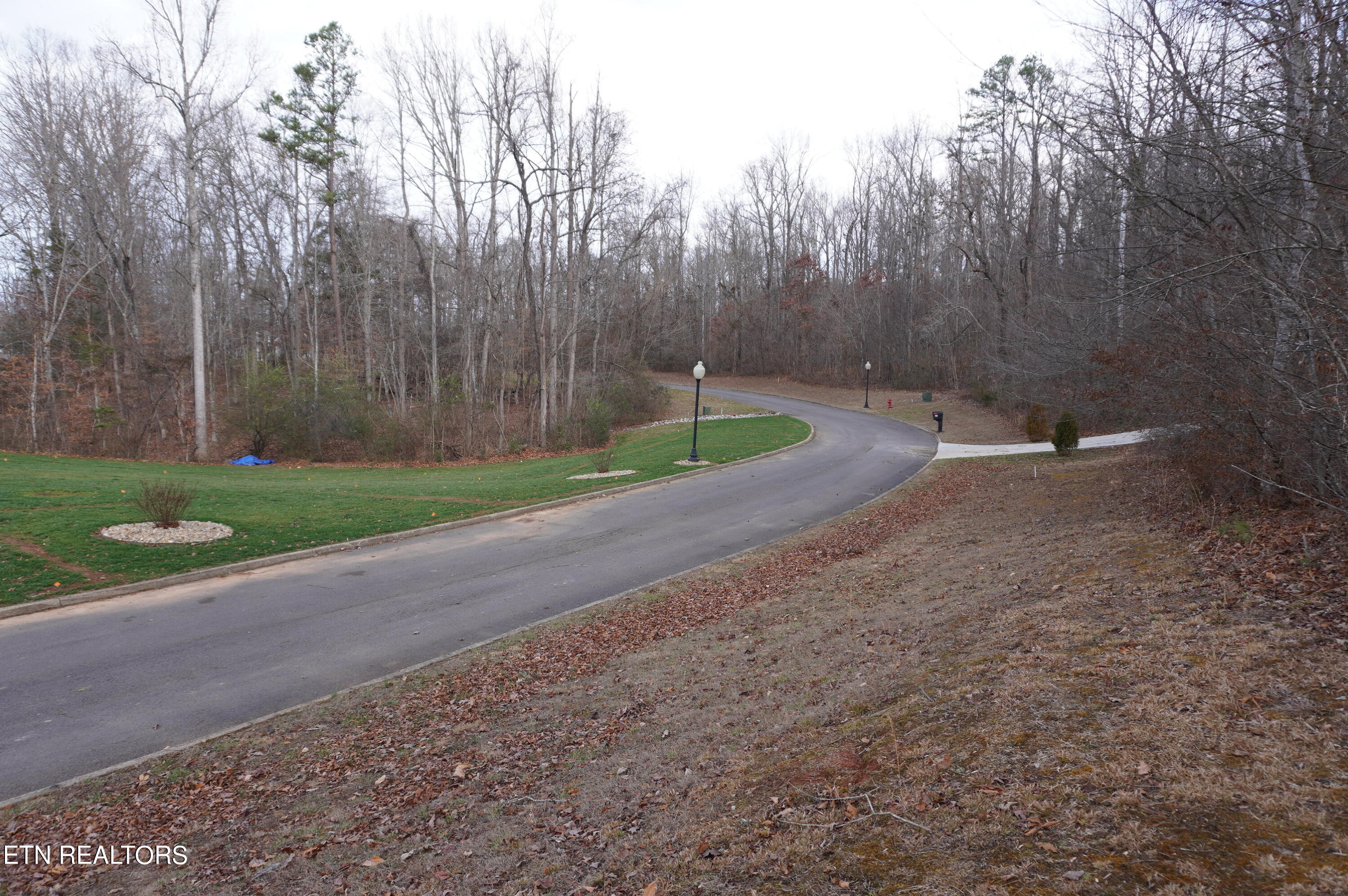 Lot 14 Meadowood Road Newport, TN 37821 - Photo 23 of 24 lot 14 meadowood - moore - 1-12-24 (28)
