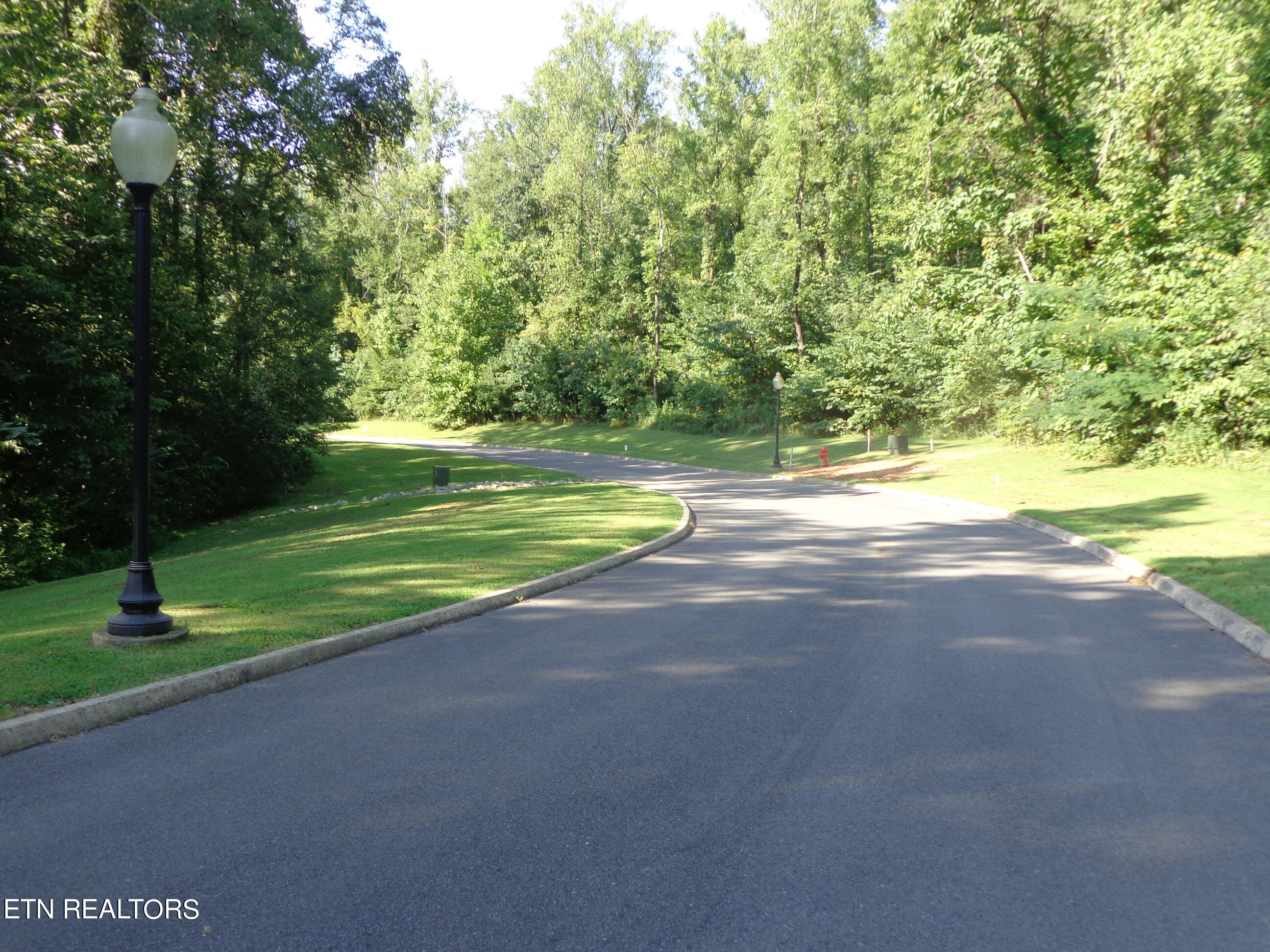 Lot 14 Meadowood Road Newport, TN 37821 - Photo 6 of 24 lot 14 meadowood - moore (17)