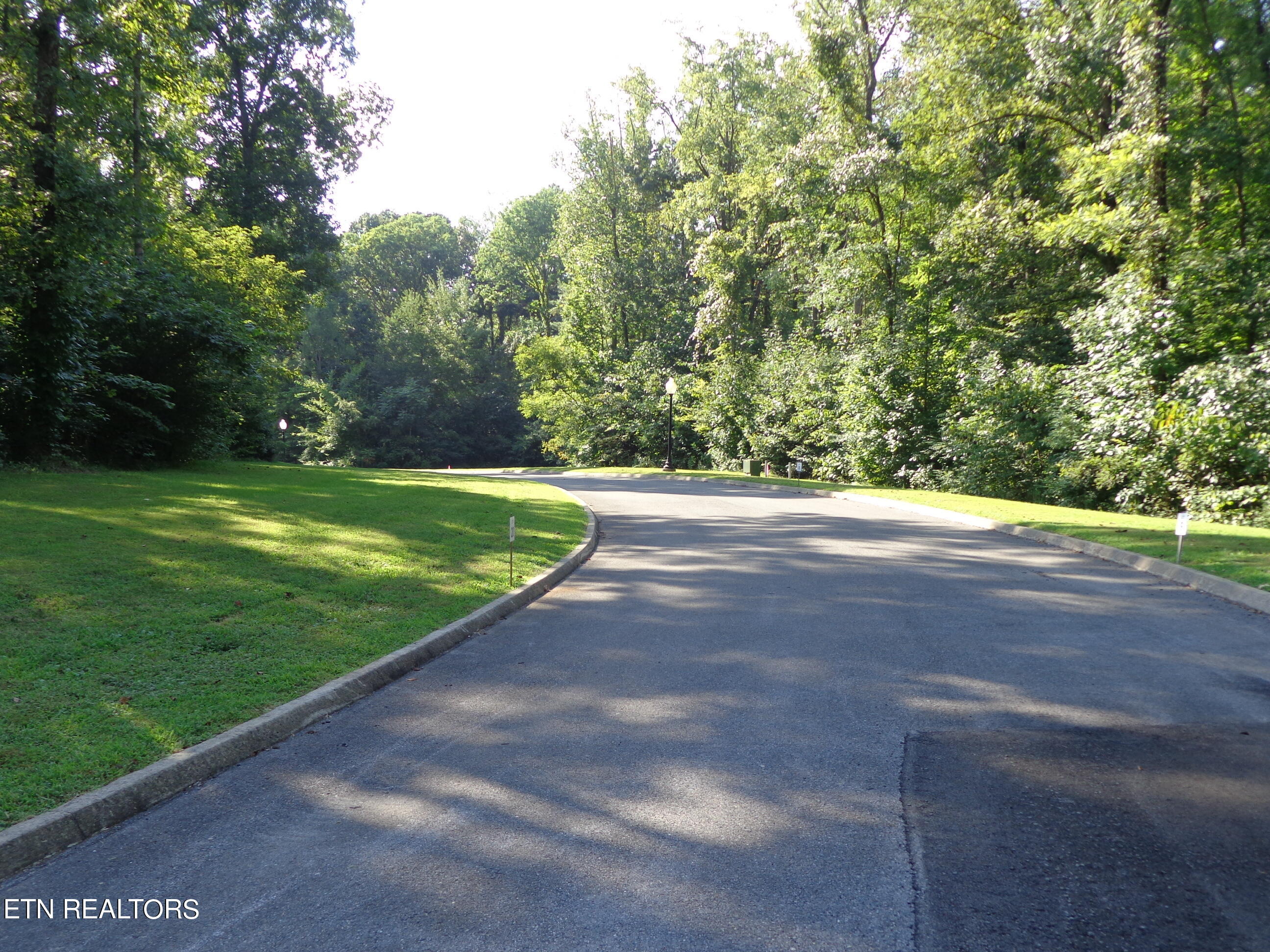 Lot 14 Meadowood Road Newport, TN 37821 - Photo 7 of 24 lot 14 meadowood - moore (18)
