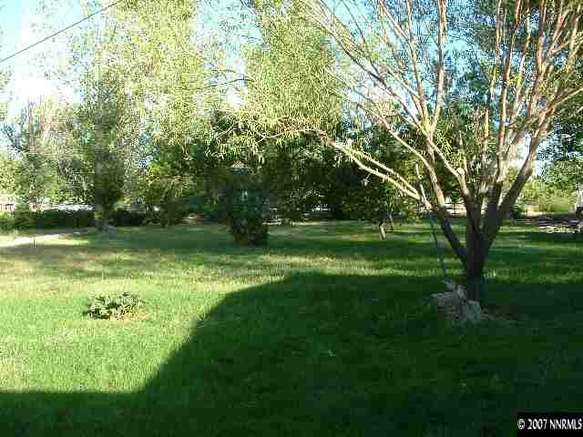 1455 Rice Road Fallon, NV 89406 - Photo 3 of 3 a view of a trees in a yard