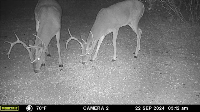 a view of a room with two washing machine