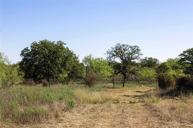 a view of a lake with lots of trees