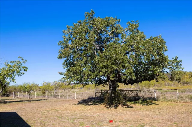 a view of outdoor space with trees all around
