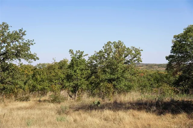 a view of a yard with a tree