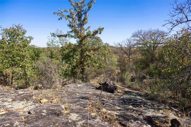 a view of a yard with a tree