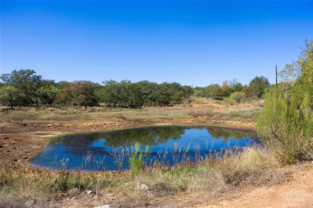 a view of a swimming pool and trees in the background